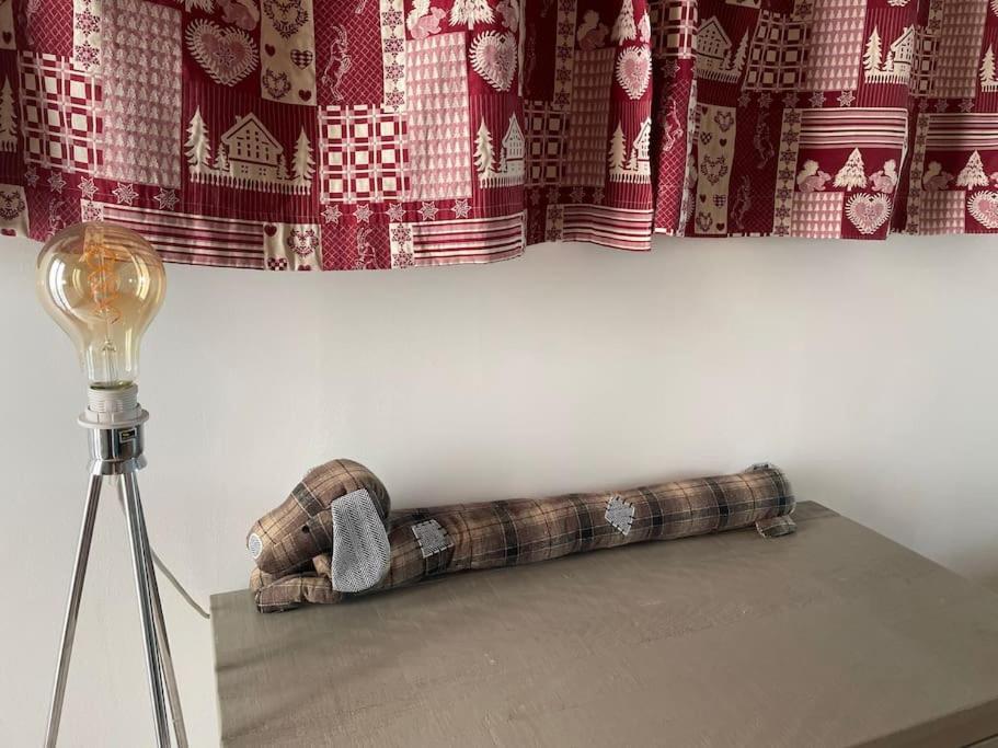 Chalet Cosy-vue Sur La Montagne & Montgolfieres
