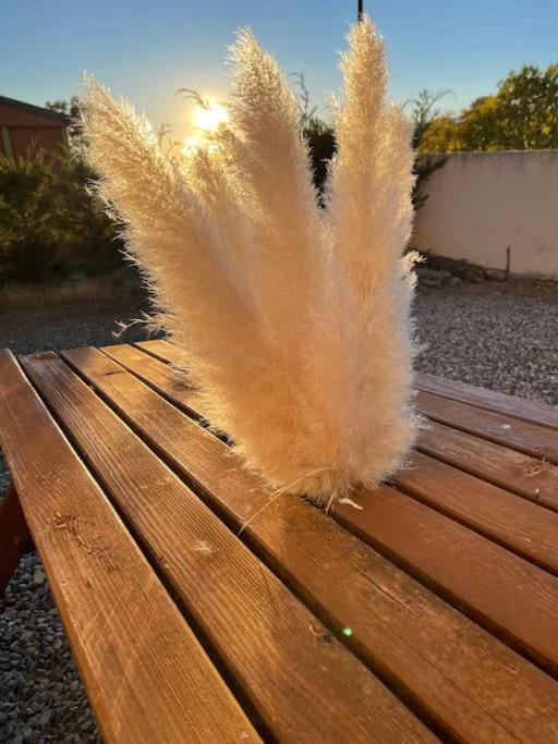 Cosy-vue Sur La Montagne & Montgolfieres *