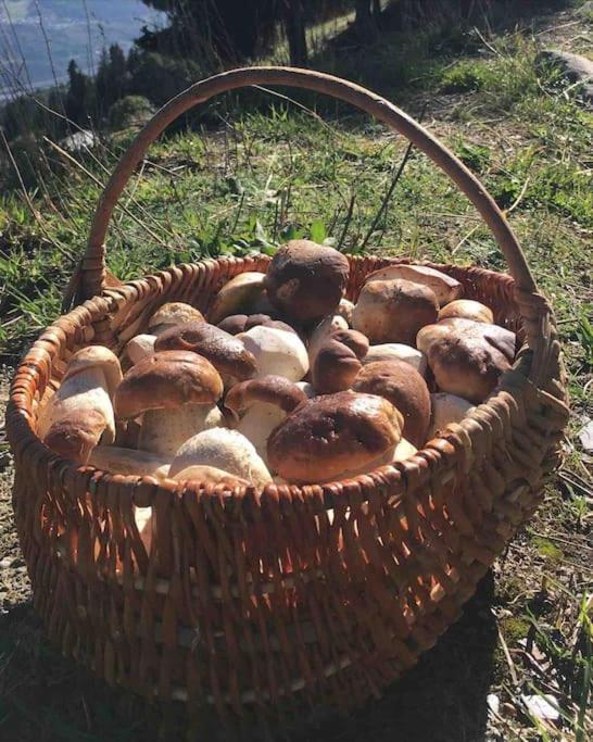 Cosy-vue Sur La Montagne & Montgolfieres *