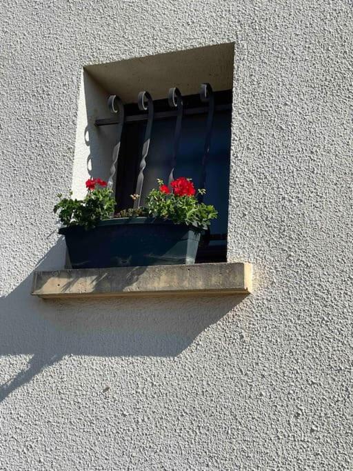 Chalet Cosy-vue Sur La Montagne & Montgolfieres Saillagouse